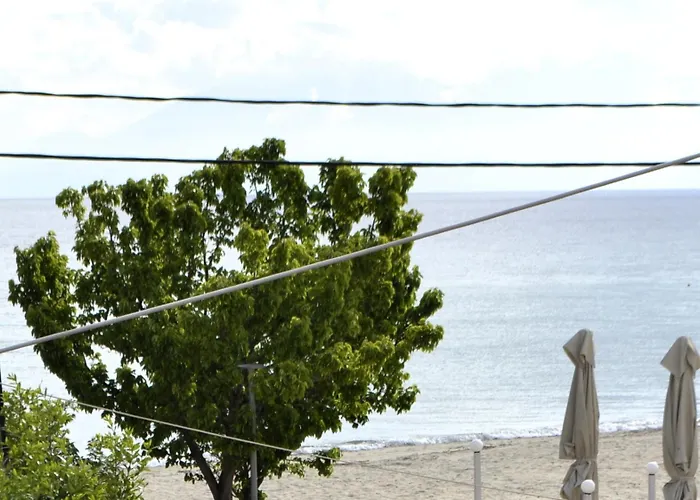 Seaside In Chalkidiki